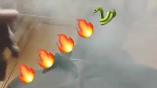 Westside Dayday previewing new music