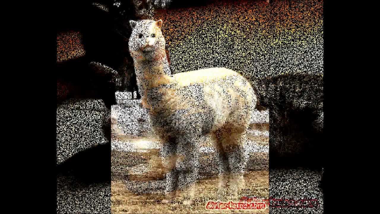 imagenes graciosas 6