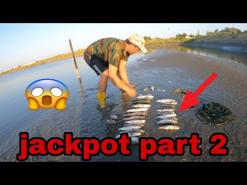 part 2 Catch and Cook || jackpot sa   mga huli bangus banak sapsap at nag share tayo ng huli