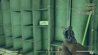【Fallout76 B.E.T.A】最終日？