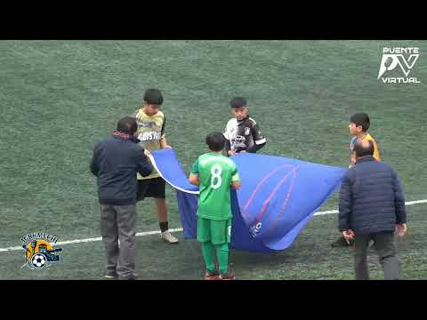 Gran final sub-15 Región de la Araucanía