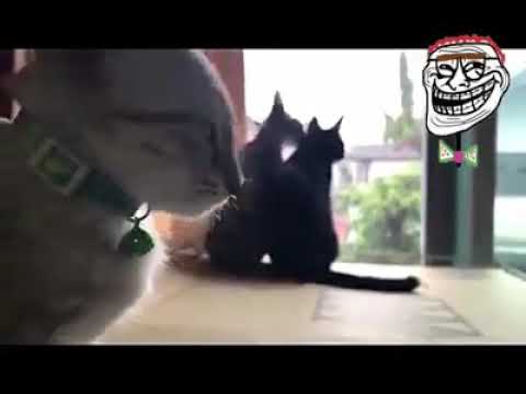 සිතින් විතරක් පෙම් කරන්න්ම්...☺️☺️☺️☺️