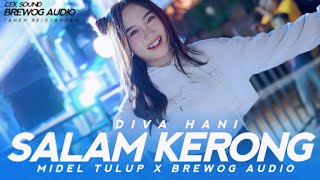 Download lagu DIVA HANI - DJ SALAM KERONG MIDDLE NROTOK X BREWOG AUDIO I Barakat Music mp3