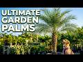 6 Tough Palm Trees For Your Garden