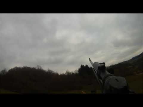 Drückjagd Schwarzwild / Driven Hunt Wild Boar / Drivjakt vildsvin