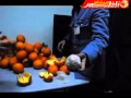 De la drogue cachée dans des oranges