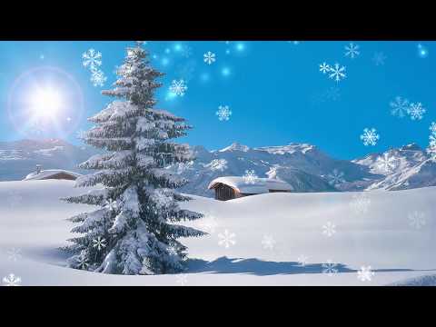 World of Warships Let's Play #117 | T10 Cruiser Stalingrad: Ranked Season XIV [Gameplay-Deutsch