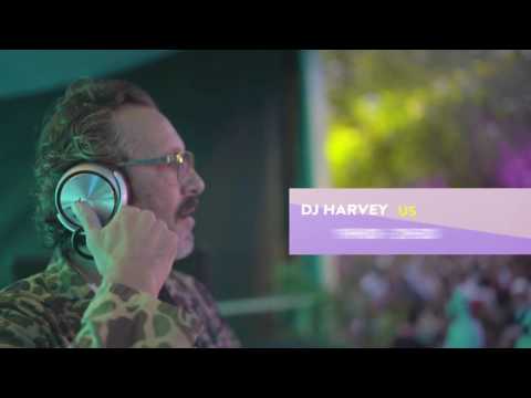 FLASH PIKNIC | DJ HARVEY