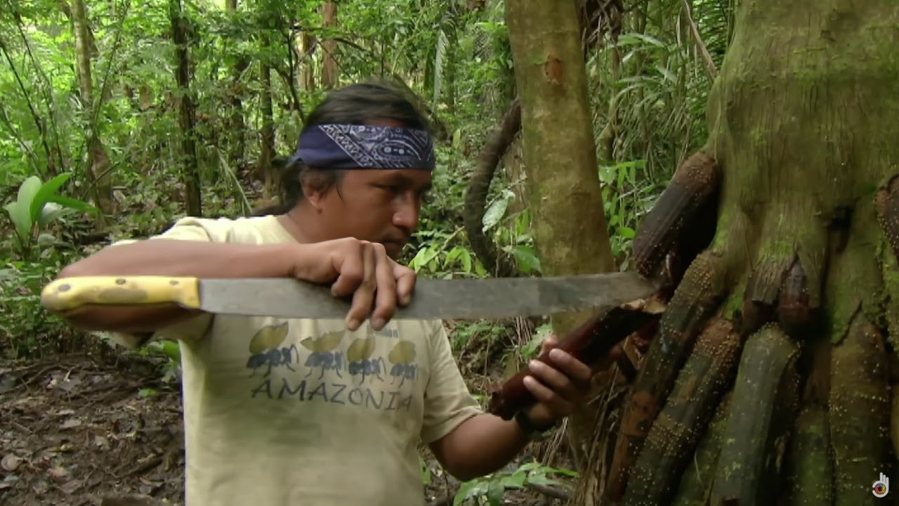 Why Discovering Ecuador’s Biodiversity is an Adventure of a Lifetime?