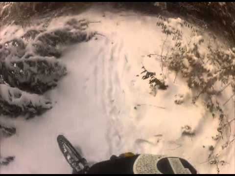 Downhill Snow Playstation