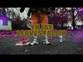 YN Jay - Leaves Fallin (Official Video)