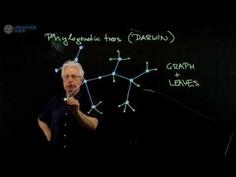Moduli of n points on the projective line - Trailer