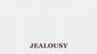 SPOON JEALOUSY MUSIC VIDEO