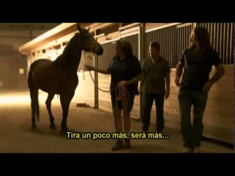 El Domador De Caballos · Jack, Forest, Holy y Mr. Mum