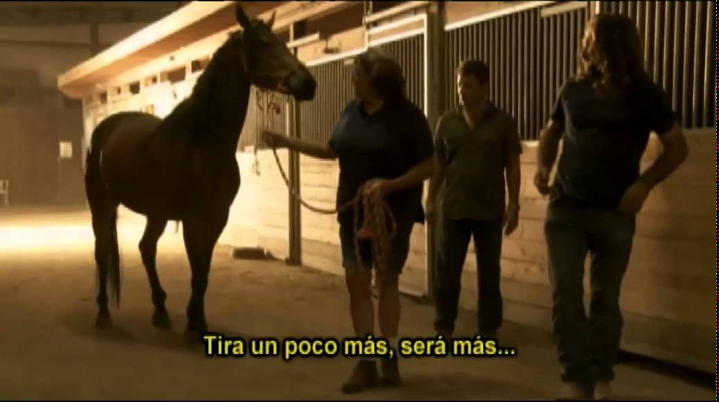 El Domador De Caballos · Jack, Forest, Holy y Mr. Mum