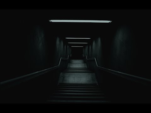 Śliwa JNW  - Prawa tutaj nie ma