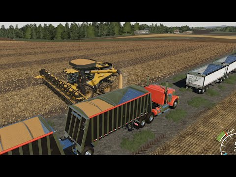 Lone Oak EP#68 | Slurry, Harvest | FS19 Timelapse |Farming Simulator 19 Timelapse