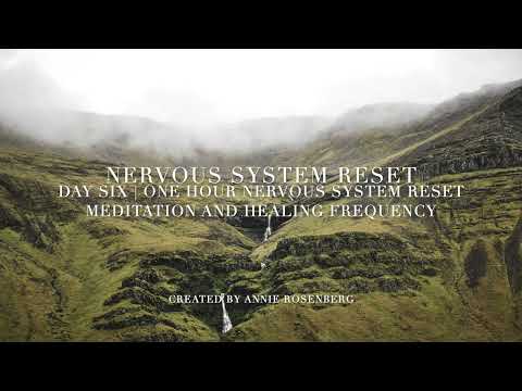 One Hour Nervous System Reset