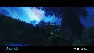 Anuncio: 'Fenómeno mundial'