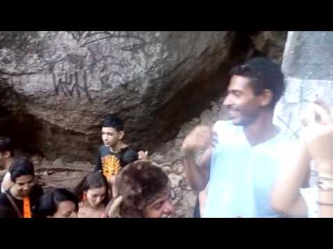 Bloco Amigos da Onça