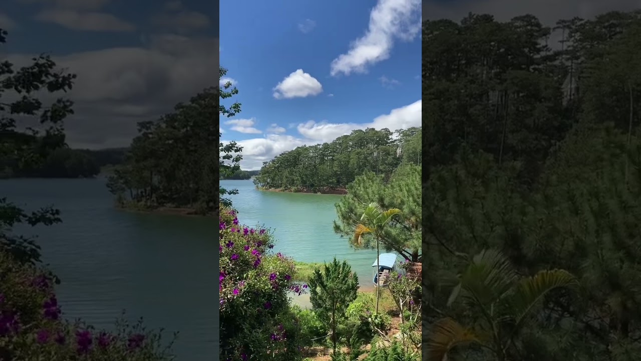 YouTube Short thumbnail