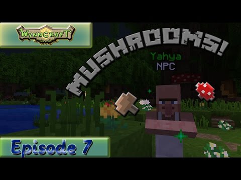 Minecraft | Wynncraft Adventure | Ep. 7 "Do you know the Mushroom Man?"