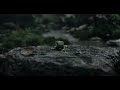 Jungle Book Telugu