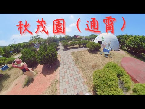 Jardim de outono, vila de Tongwan, cidade de Tongxiao, condado de Miaoli/ponto panorâmico de Miaoli