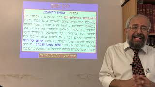דרך השם - חלק ב' , פרק ה'-ו' - באופן ההשגחה ובסדר ההשגחה - הרב ינון קלזאן