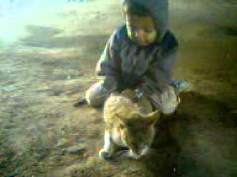 BHAMMAR HIREN G AHIR A VERY FUNNY SCENE IN PLAYING CAT