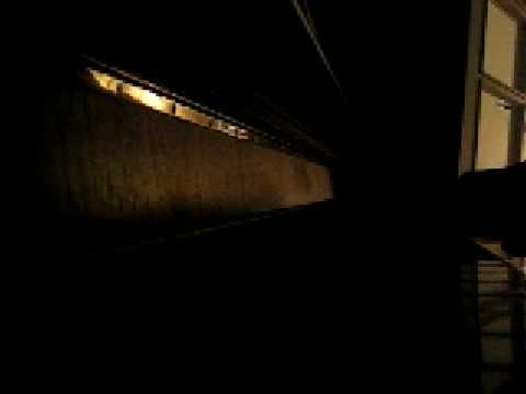 Hani Angel plays Turkish marsch