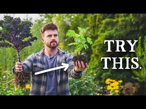 Rethinking Companion Planting: My Alternative Strategies