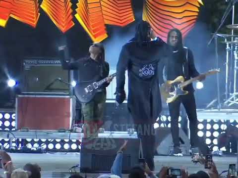 Topmann X BroGad Sting 🐝 2020