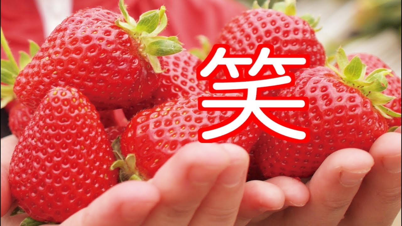 今日のお買い物に笑！日本では考えられない大らかさ