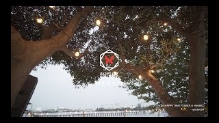 After Movie ageHaCamelot AGELOT feat BIKINI NIGHT SUMMER 201981 ageHa