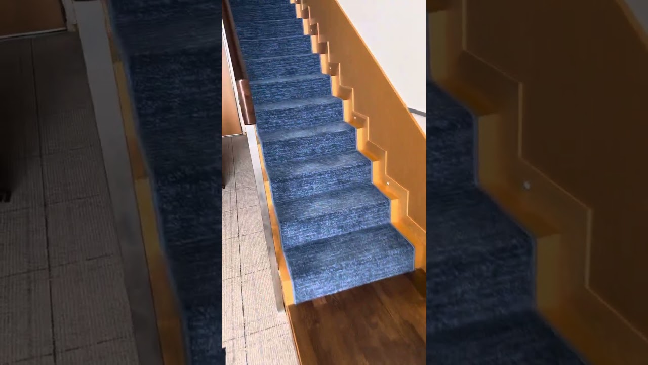 Allure of the Seas - Cabin 1708 - Video 2