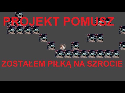 KOMARO BANGER DANGER