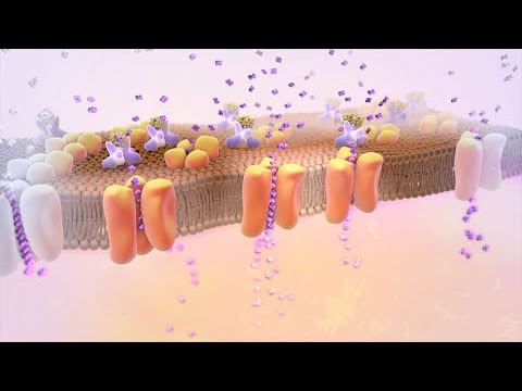 Tratamiento de diabetes mellitus