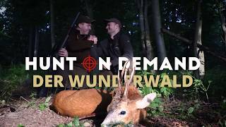 Der Wunderwald Staffel 6 🌿 Starke Böcke von@jagdkrone