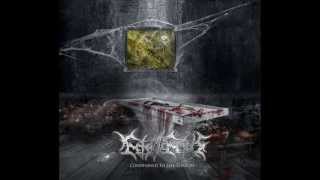 FETO IN FETUS - Source Of Evil (2013)