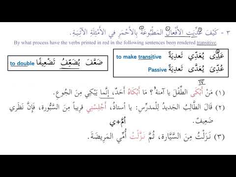 Madinah Arabic Book 3, Lesson 18 (Part 4)