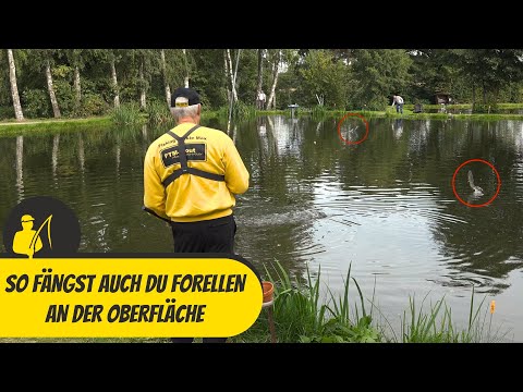 Here's how you too can catch trout on the surface.