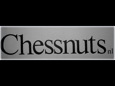Chessnuts @ RnR Alldayer Uitgeest- De Ooievaar-1988