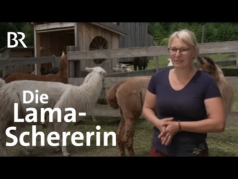 Scheren mit Gefühl: Lama-Friseurin Michaela Schelshorn | Schwaben + Altbayern | BR