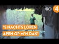 Hier slaapt Geraldine Kemper tijdens Expeditie Robinson All Stars