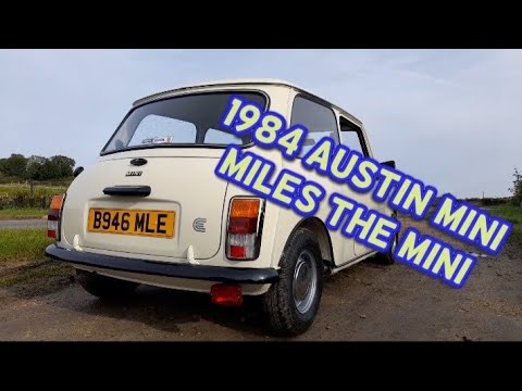 Introduction and Walk-around of my 1984 Austin Mini!