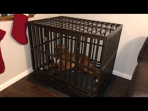 The BEST dog cage! Amazon HAIGE Pet Nanny dog crate review