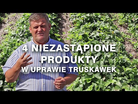 4 produktowe hity w uprawie truskawki - Zbyszek Marek