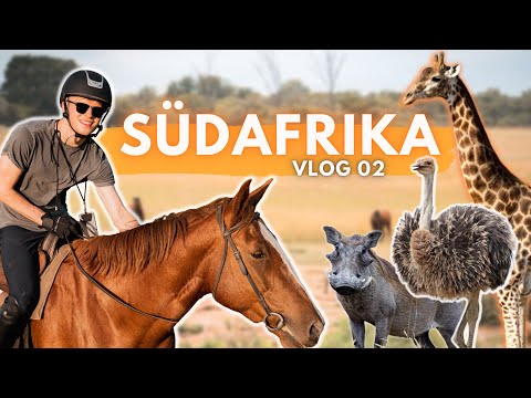 WIR FINDEN PUMBA!🐗🇿🇦