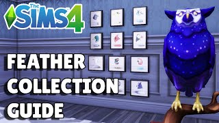 How To Collect Feathers In The Sims 4 | Collection Guide